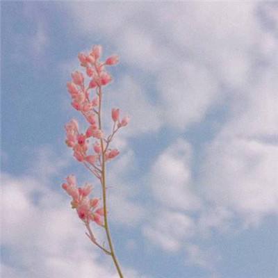 皇冠·app(中国)下载官方版